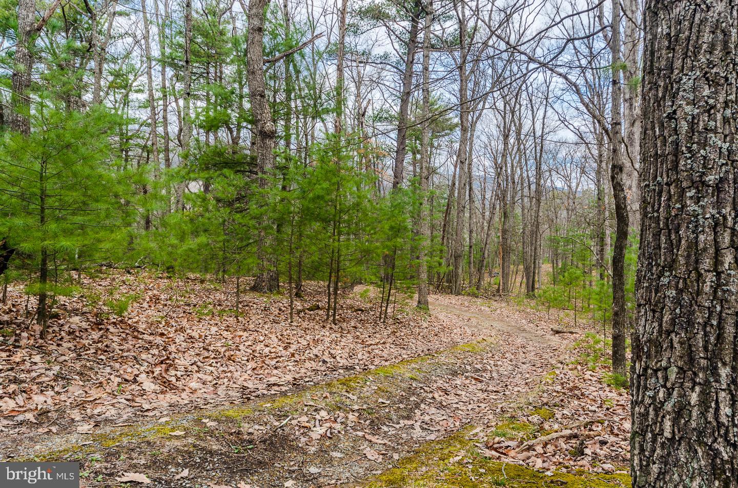 SOUTHARD - Residential