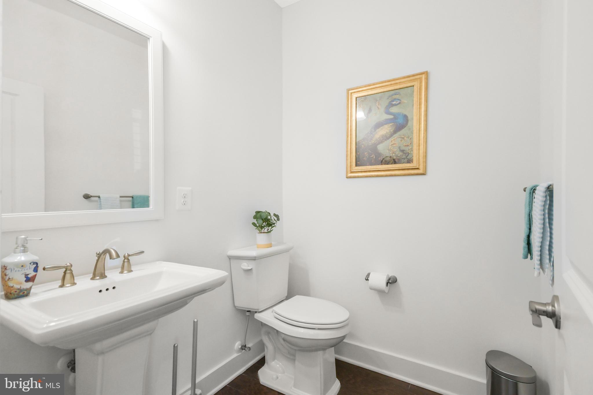 DOWNTOWN FREDERICK - Residential