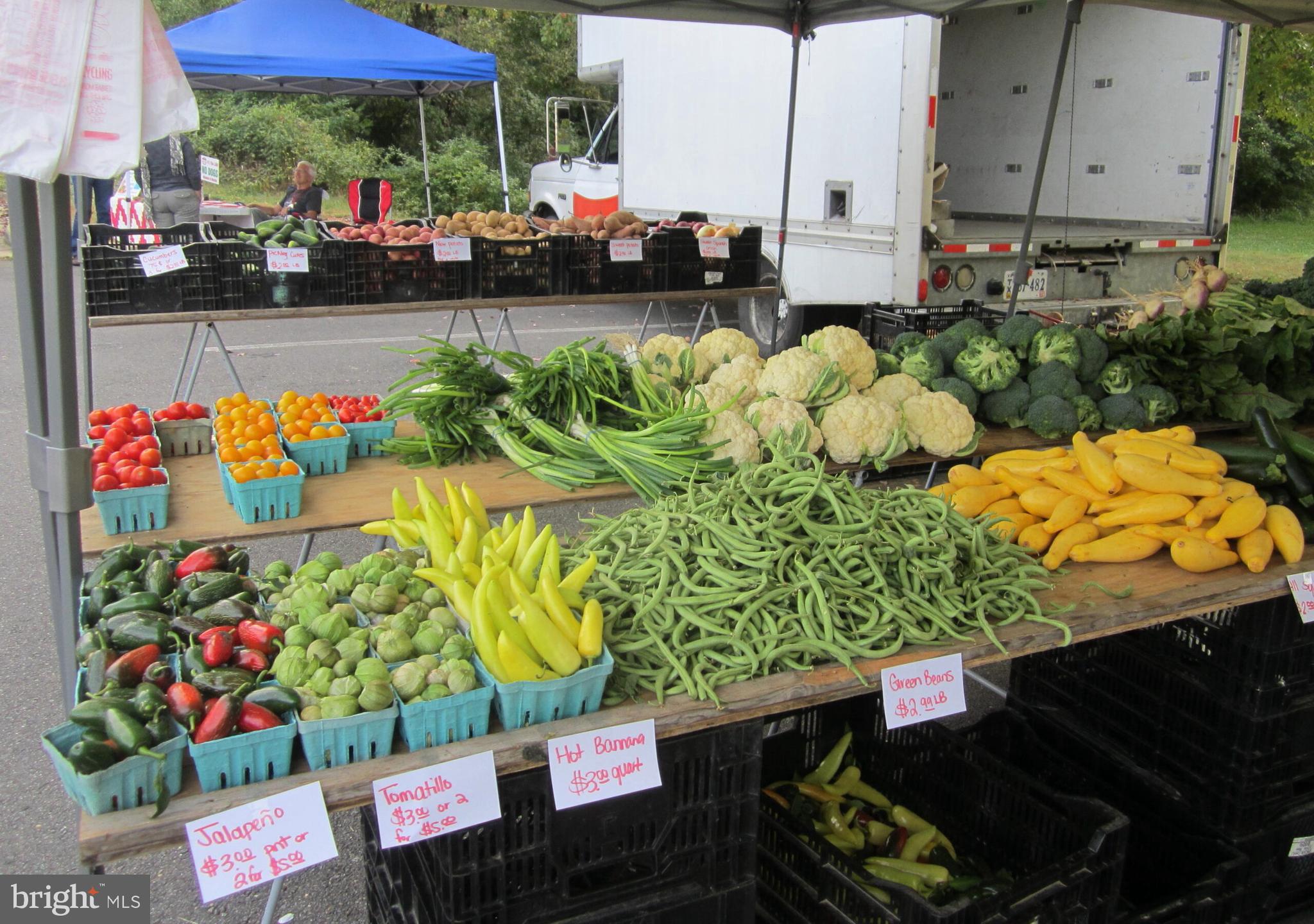 NORTH SPRINGFIELD - Residential