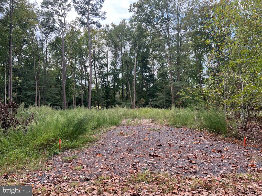 Check out this huge lot that is all ready to be built on! This lot has a septic permit on file & culvert installed! You will have one of the largest lots in the Cove with 19,502 sq ft (0.447 acre) that is adjacent to the farm that is located on Fleming Rd! Available to property owners are 3 pools, dog park, fitness center, trails, 24 hour security, play grounds, tennis court, basketball court, boat ramp/marina, fishing pier, marina club, golf and more.. There is something for everyone!