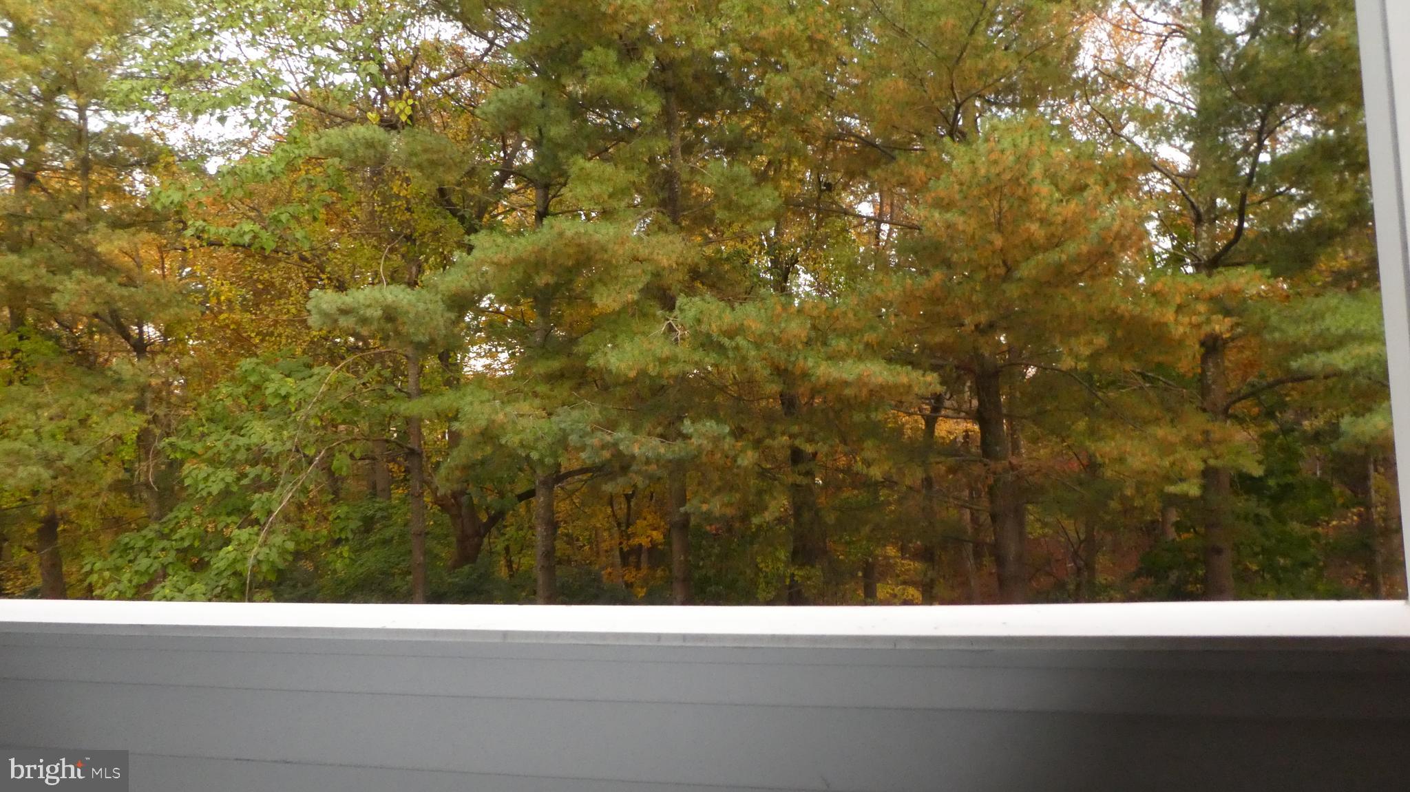 TIERS AT SILVER SPRING - Residential