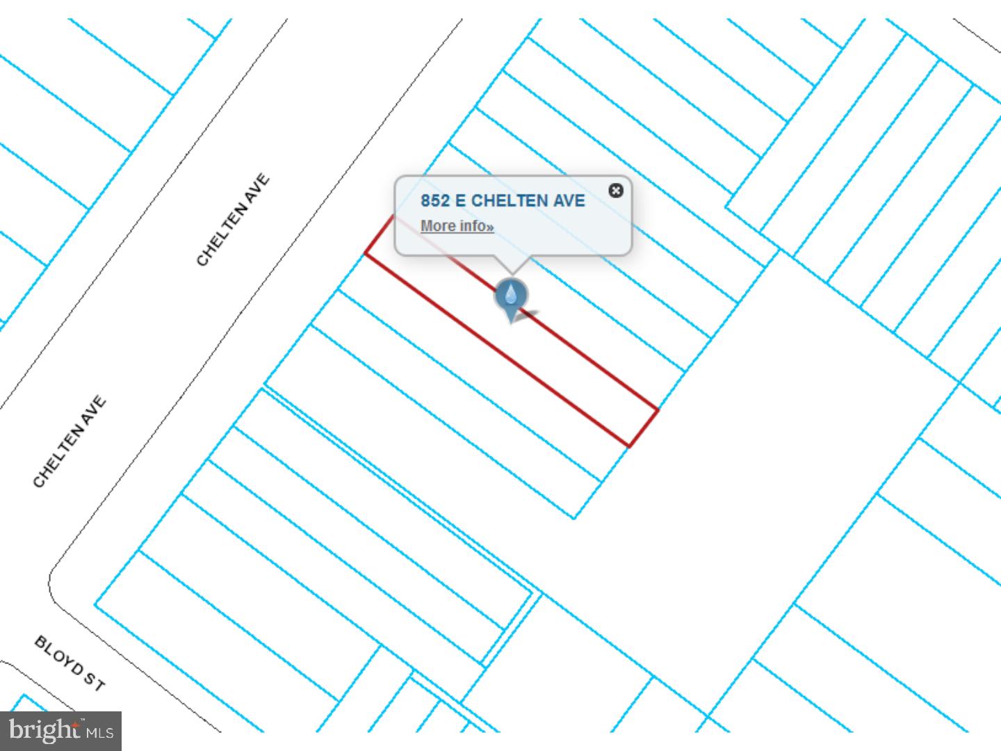 852 E CHELTEN AVENUE