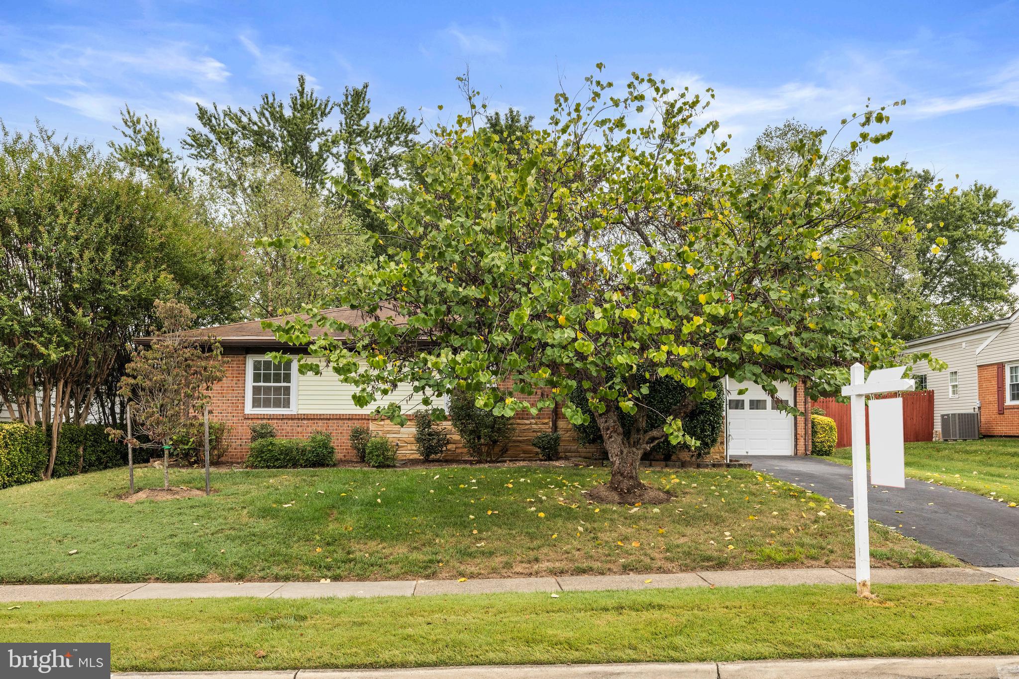 210 W BEECH ROAD