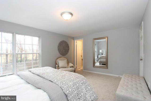 MONTPELIER WOODS - Residential