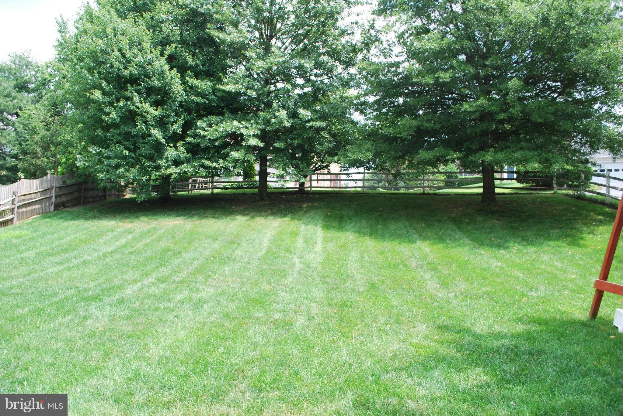 BRAMPTON HILLS - Residential Lease