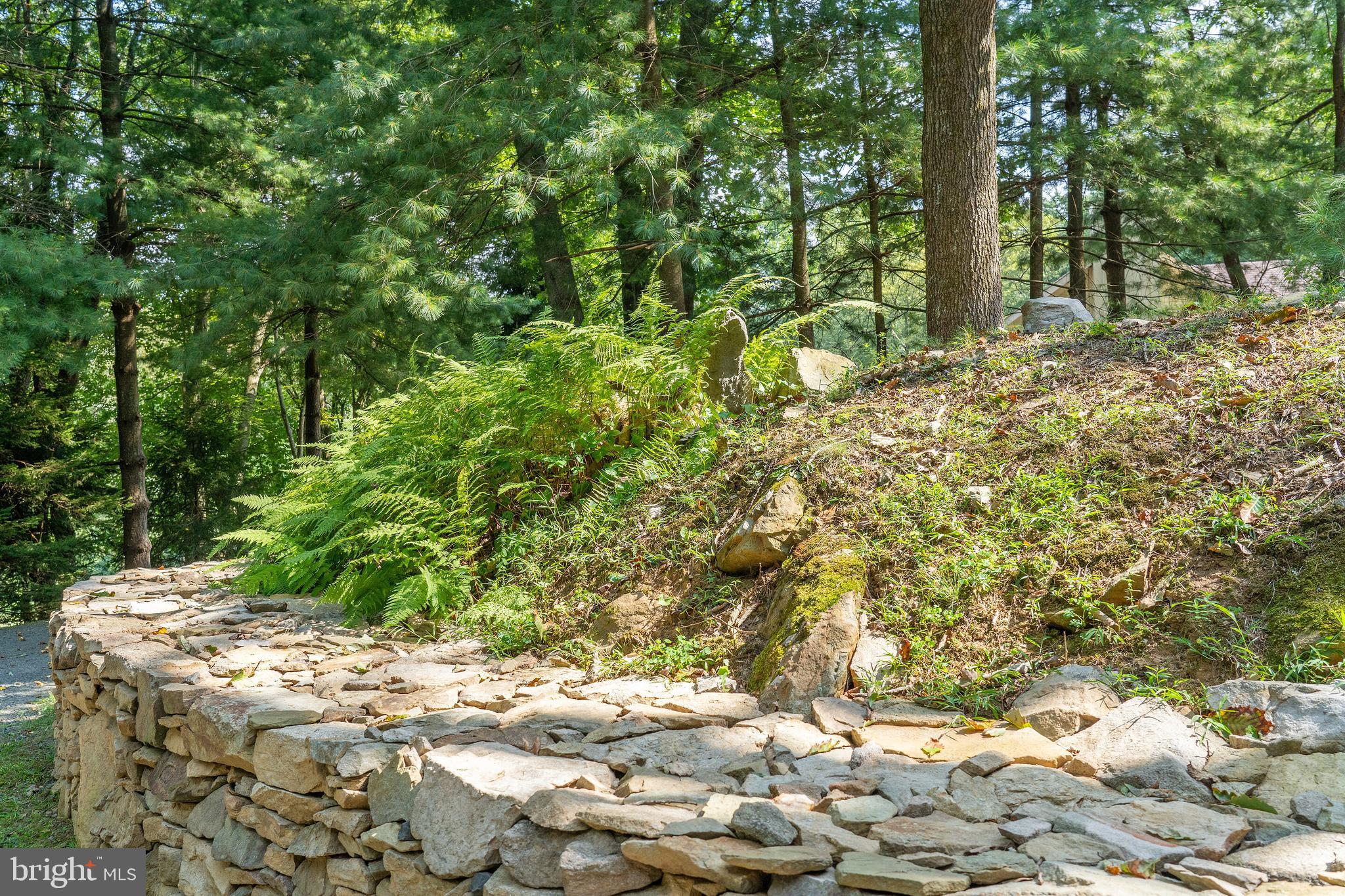 MEADOW RIDGE - Residential