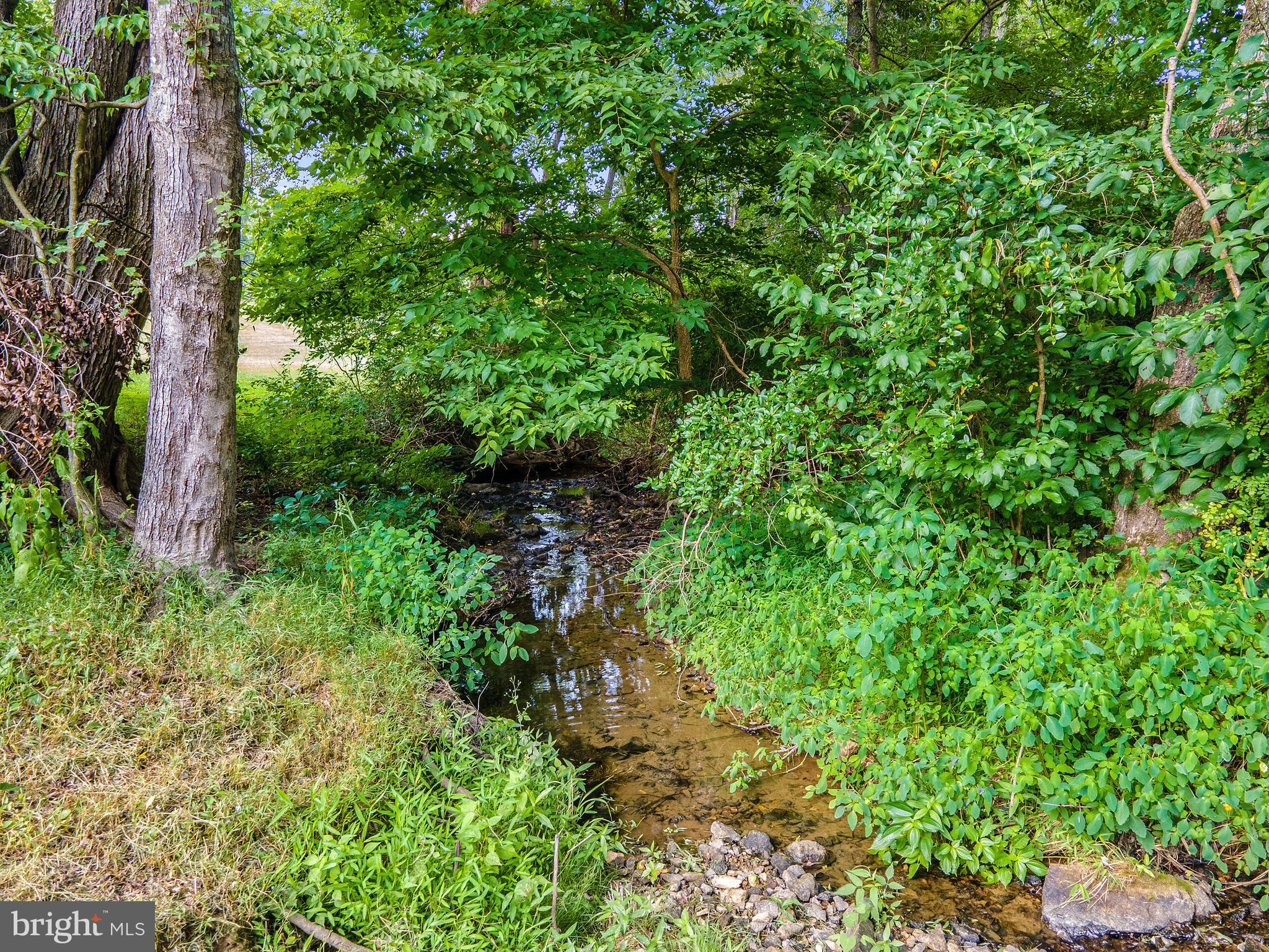 MEADOW RIDGE - Residential