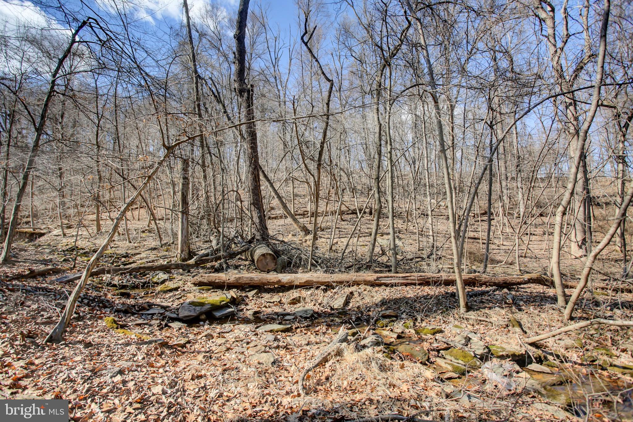 CARROLL VALLEY - Residential