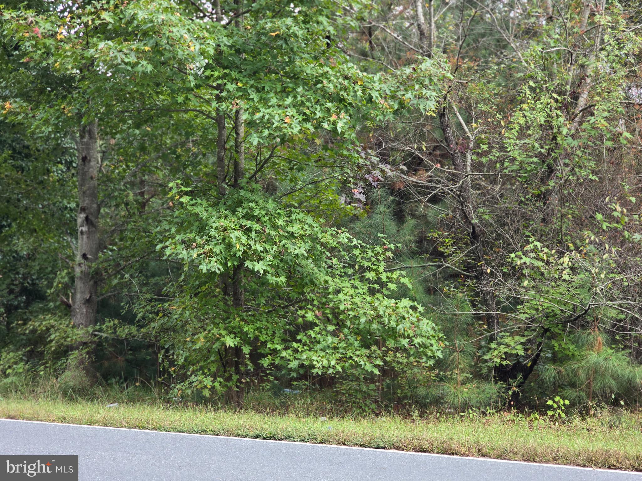 0 LEVIN DASHIELL ROAD