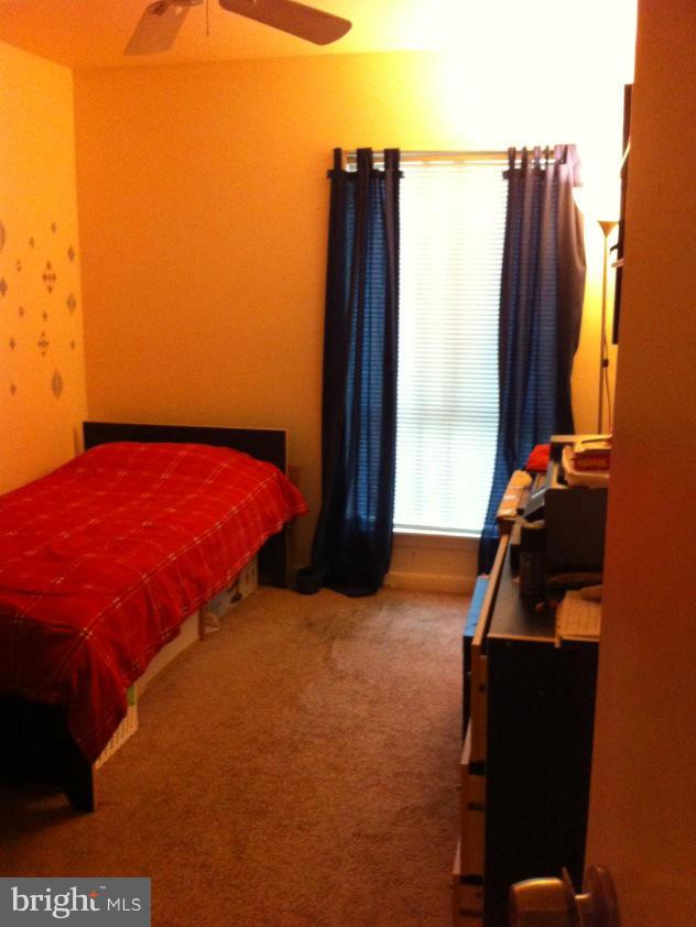 GLENVALE - Residential Lease