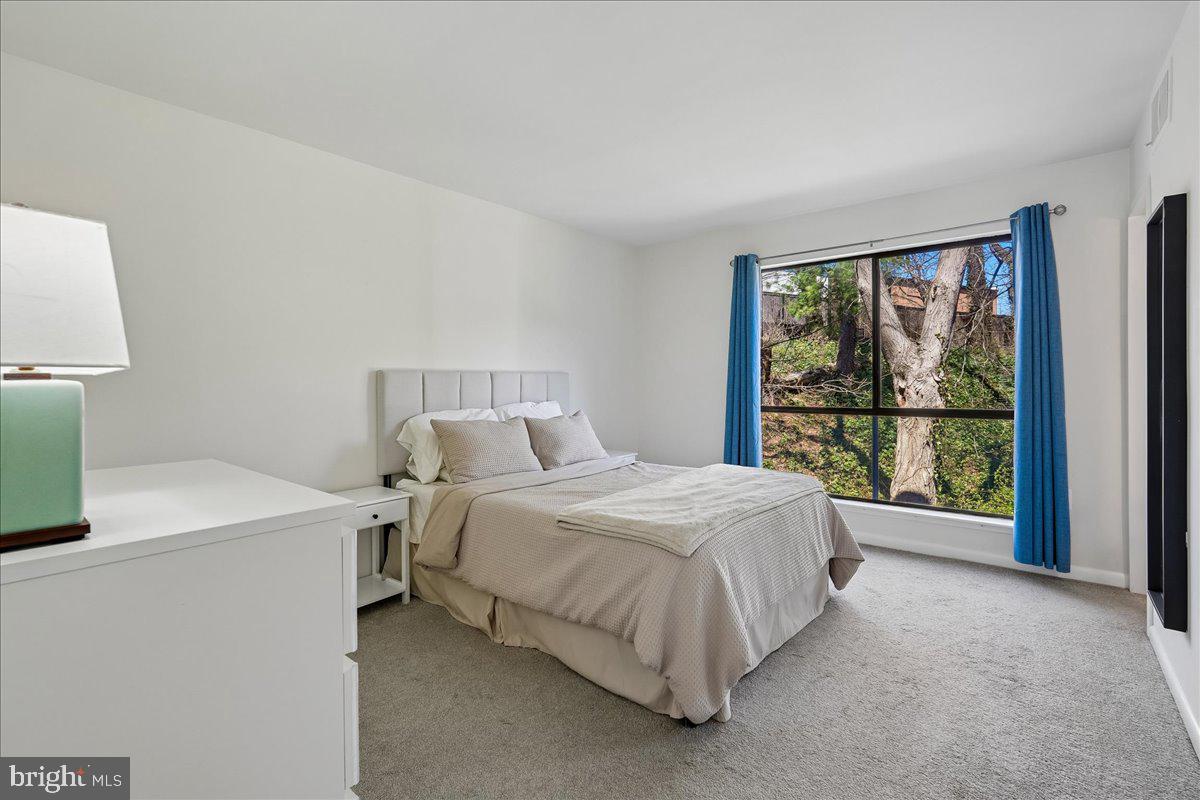 CAMELBACK VILLAGE - Residential