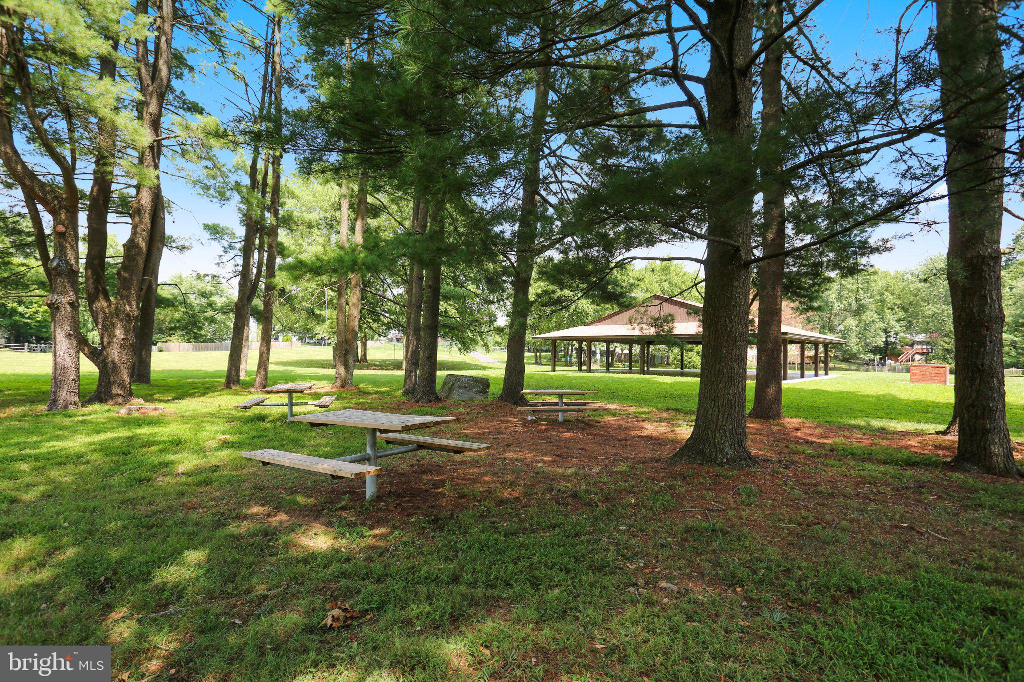 CAMELBACK VILLAGE - Residential