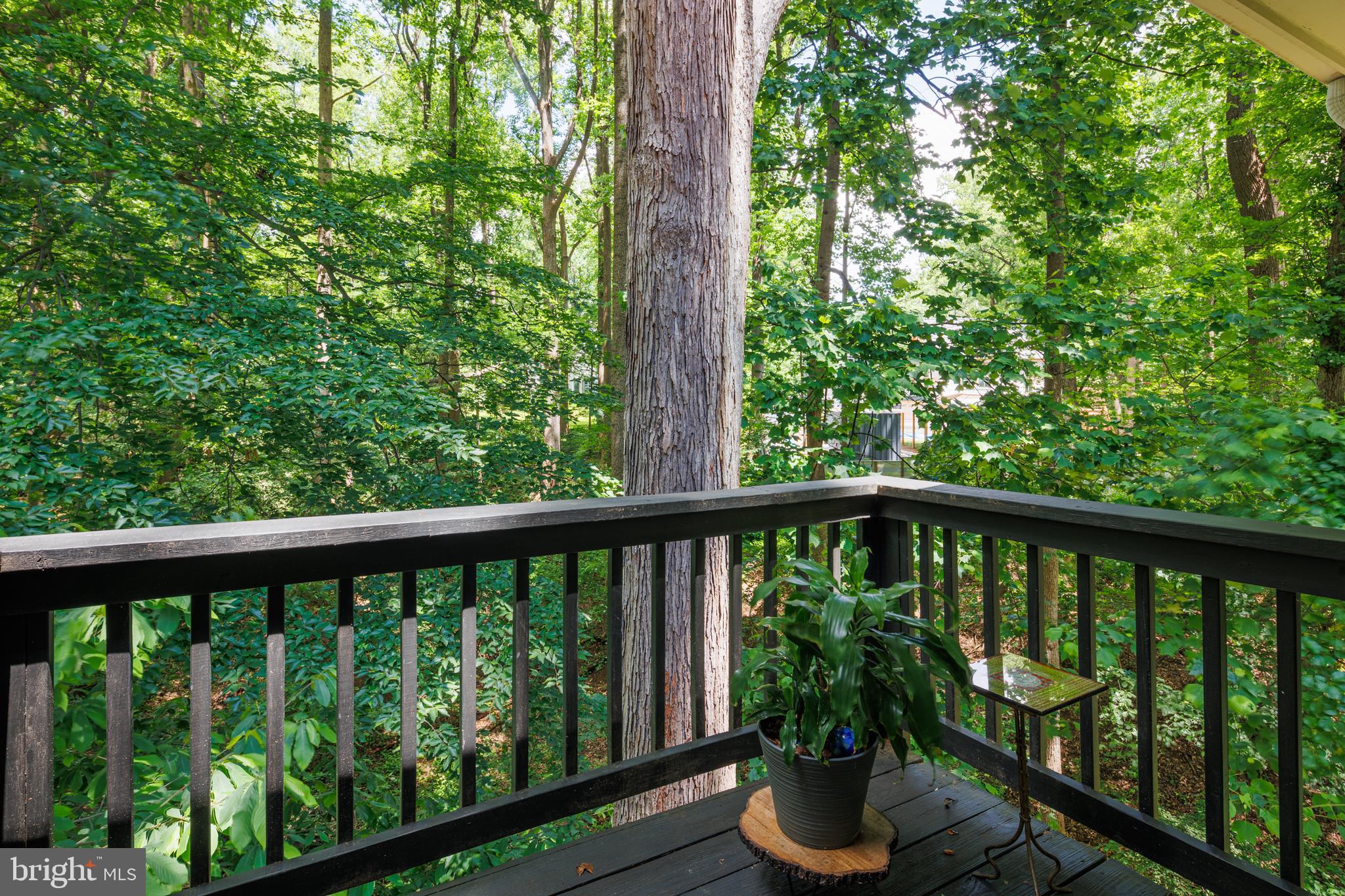 CONGRESSIONAL COUNTRY CLUB ESTATES - Residential