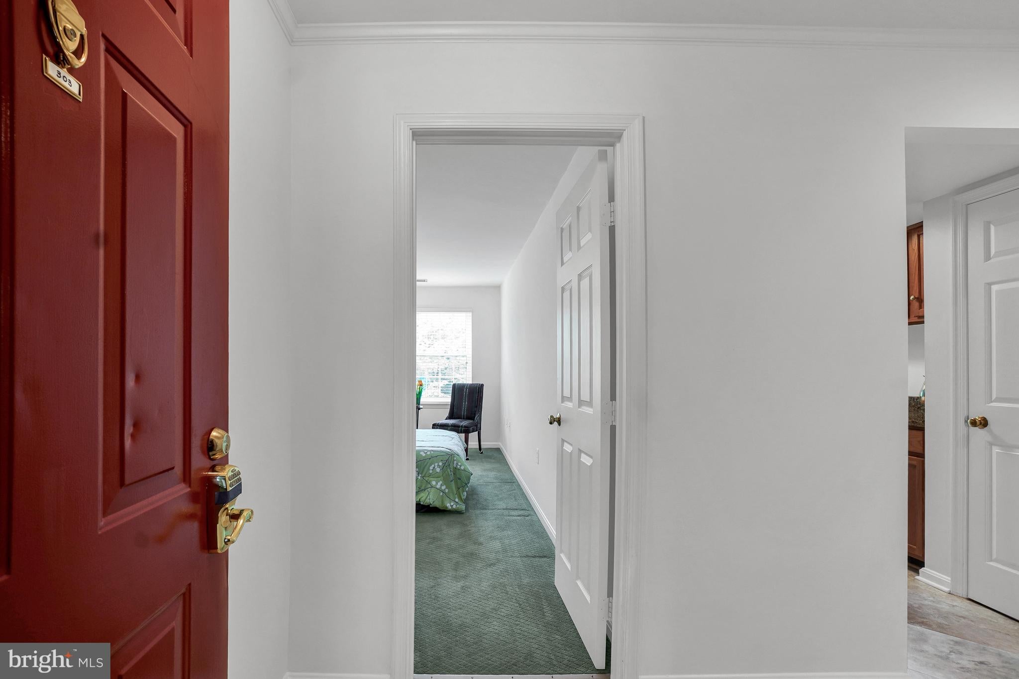 806 AMBER TREE COURT 806-303