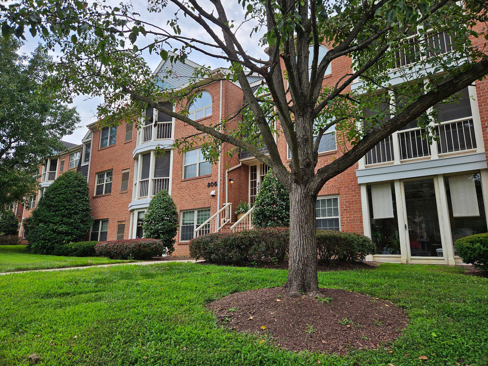 806 AMBER TREE COURT 806-303