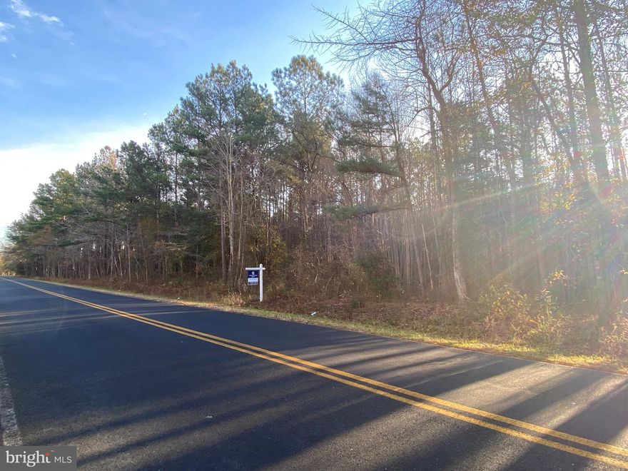 New opportunity to own 46.9 acres just 20 minutes to Salisbury and Ocean City. The parcel is mostly wooded and would make an excellent hunting property. It is forest conservation area and subject to an open space easement. Not buildable. Contact agent for details.