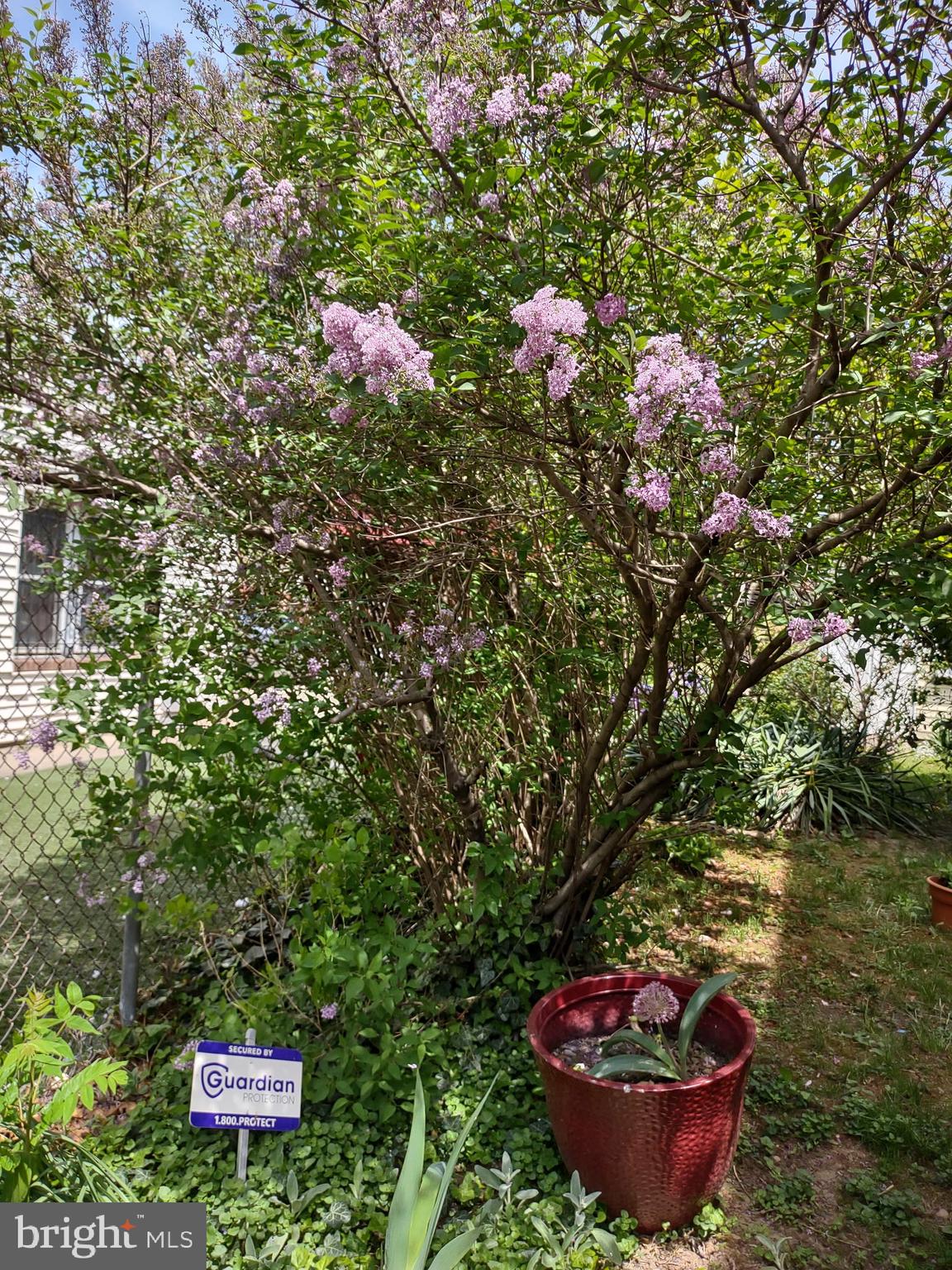 NICETOWN - Residential