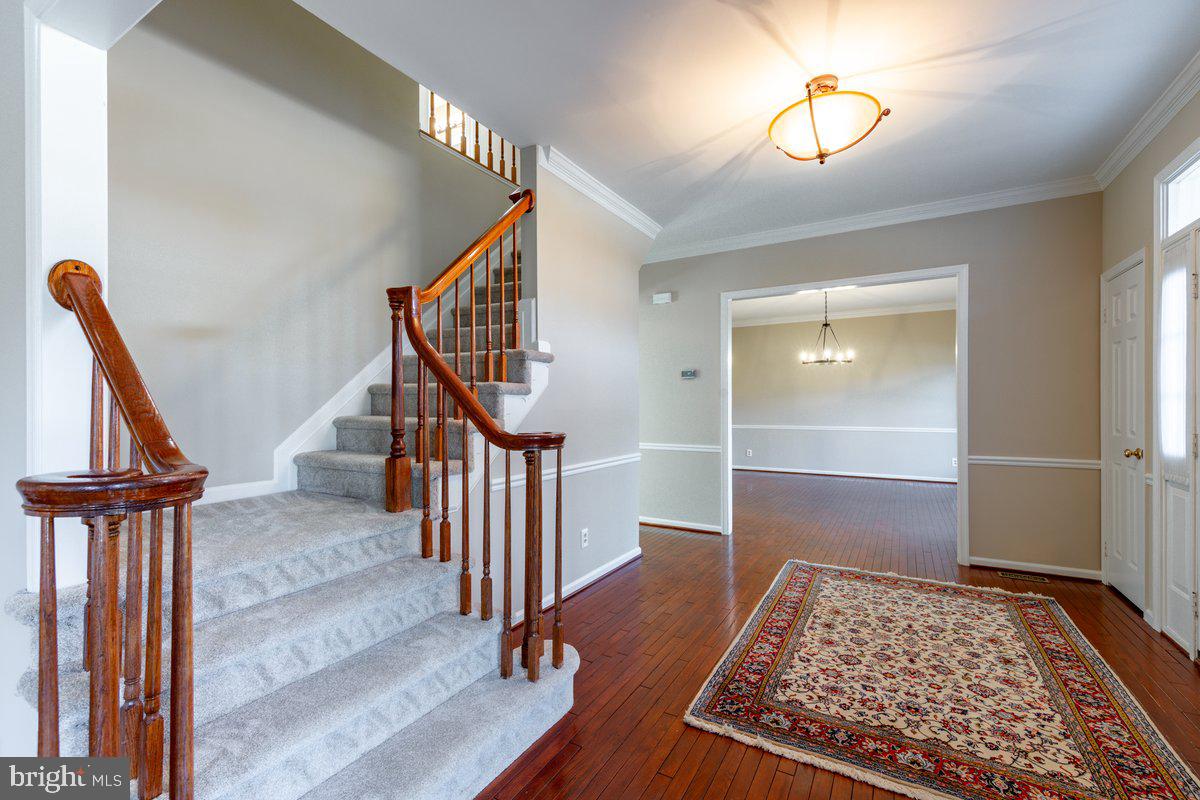 LITTLE ROCKY RUN - Residential