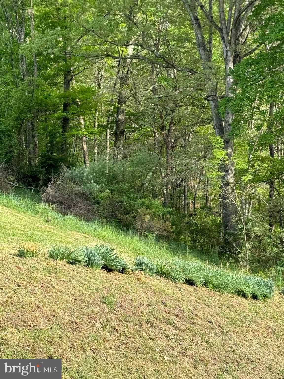 NONE UNRESTRICTED - Residential