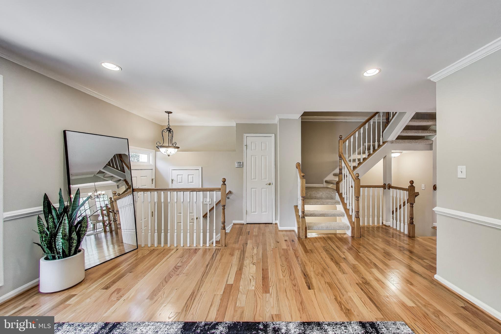 9009 MARIE COURT