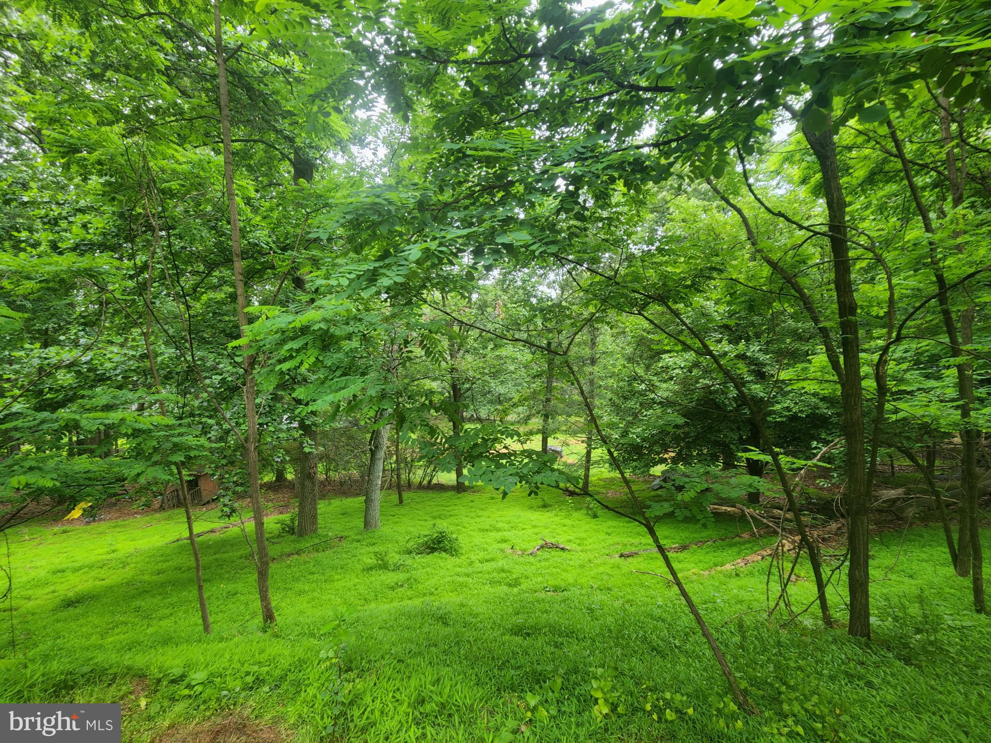 SHANNONDALE - Residential