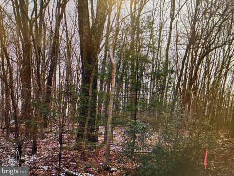 Vacant Land For Sale - Black Bear Pass<br/> WHITE HAVEN, PA 18661