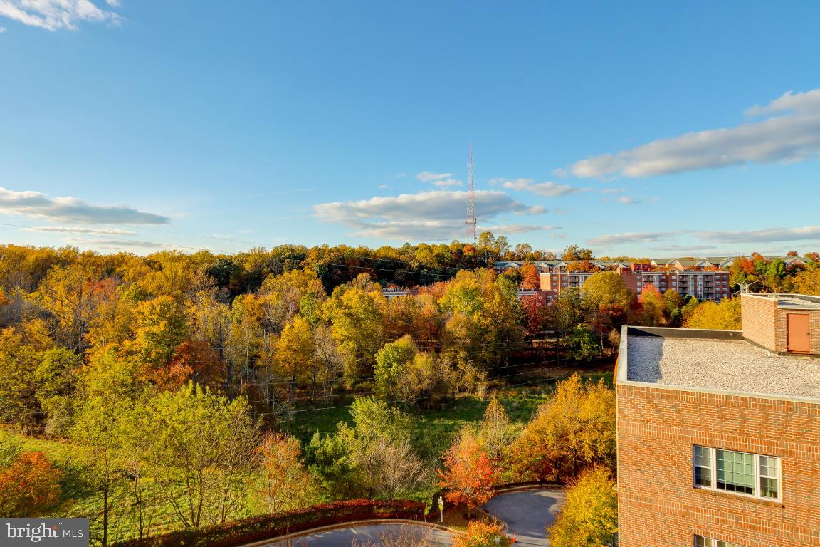 CONDOS AT THE RIDGE - Residential