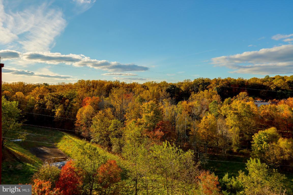 CONDOS AT THE RIDGE - Residential
