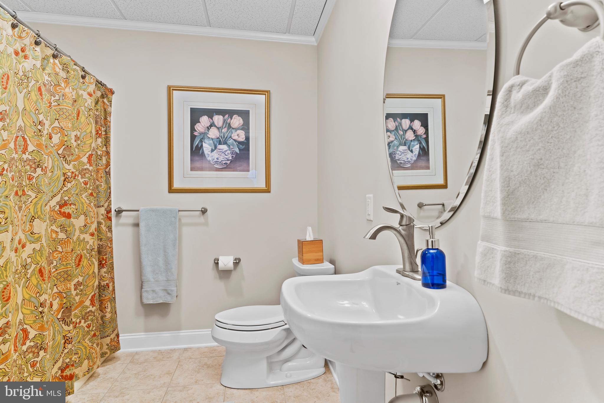 BRAEBURN ESTATES - Residential