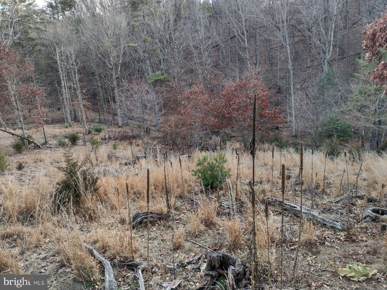 MATHIAS ESTATES - Residential