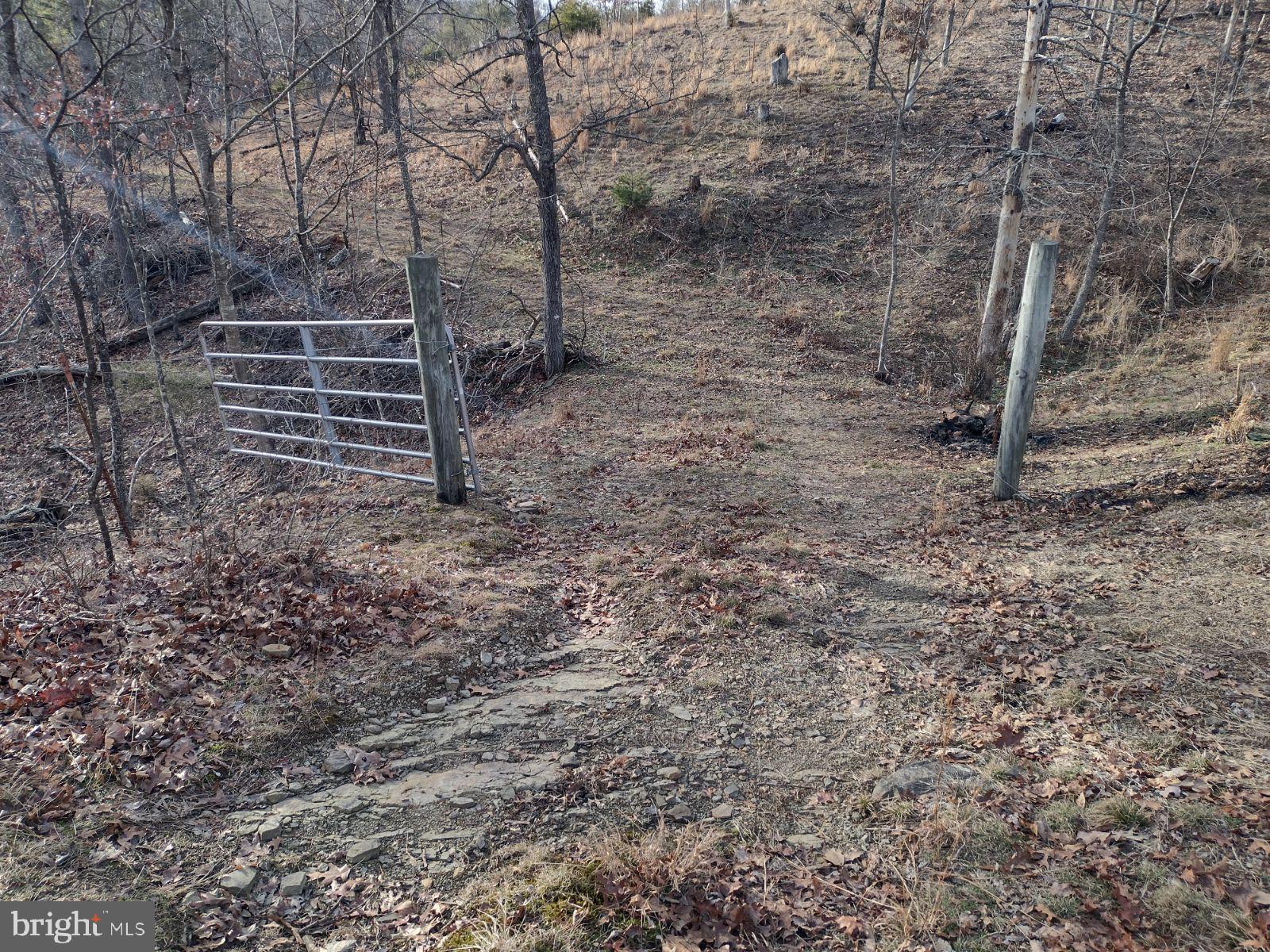 MATHIAS ESTATES - Residential