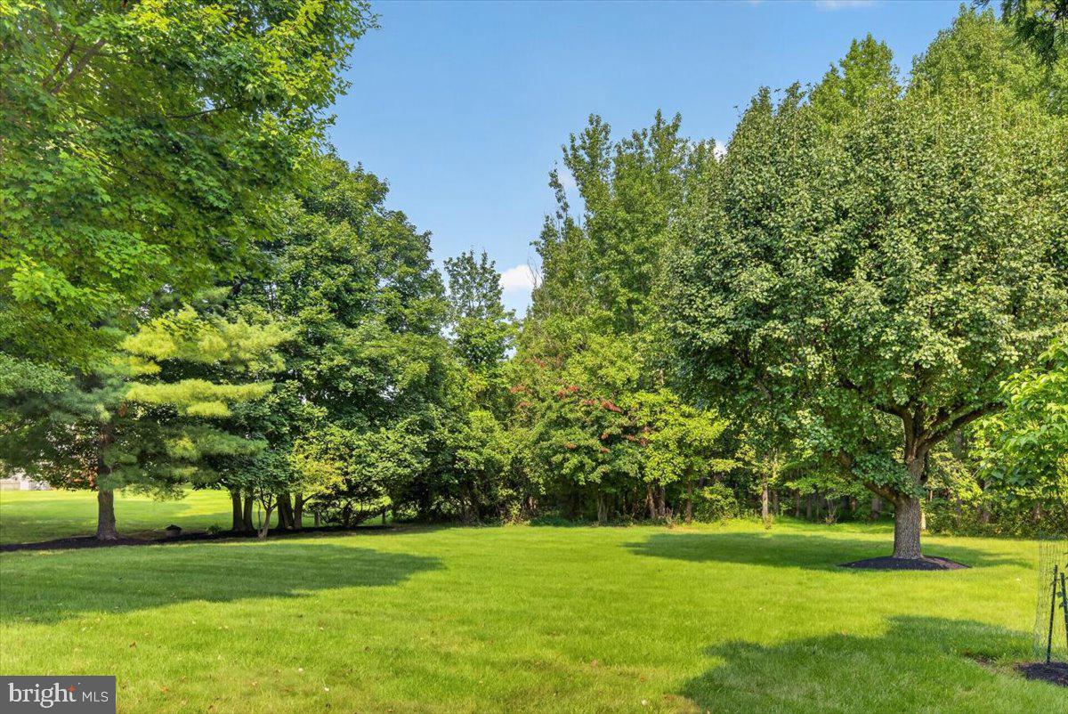 3 REDWOOD COURT