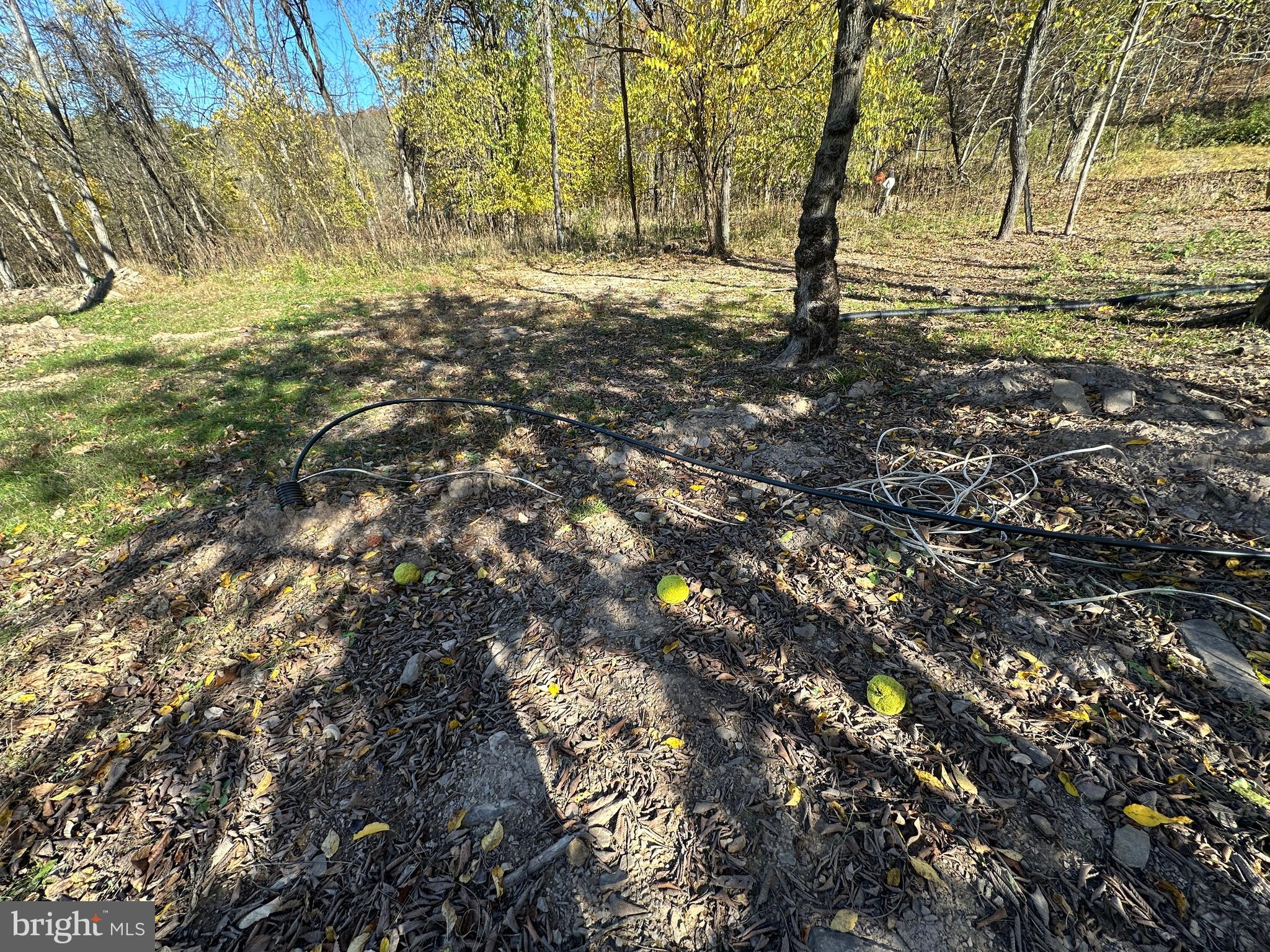 FRENCHS NECK EAST - Land