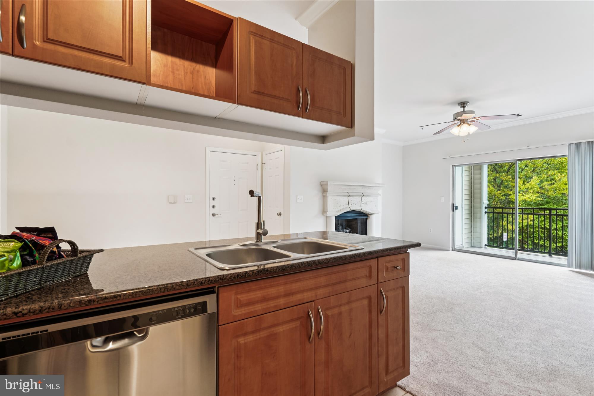 BRYSON AT WOODLAND PARK - Residential