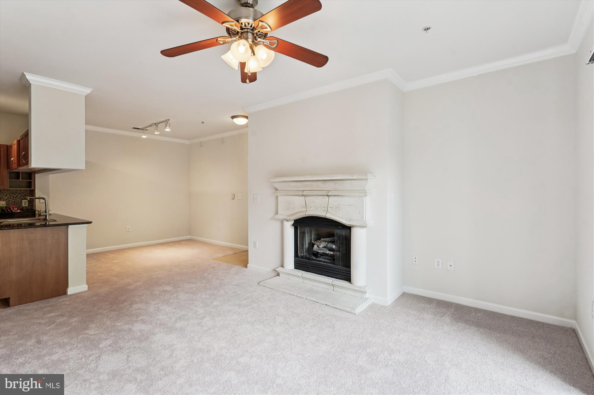 BRYSON AT WOODLAND PARK - Residential