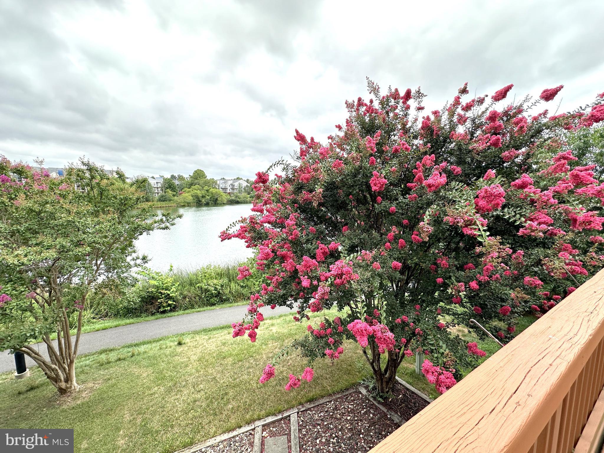 ASHBURN VILLAGE - Residential Lease