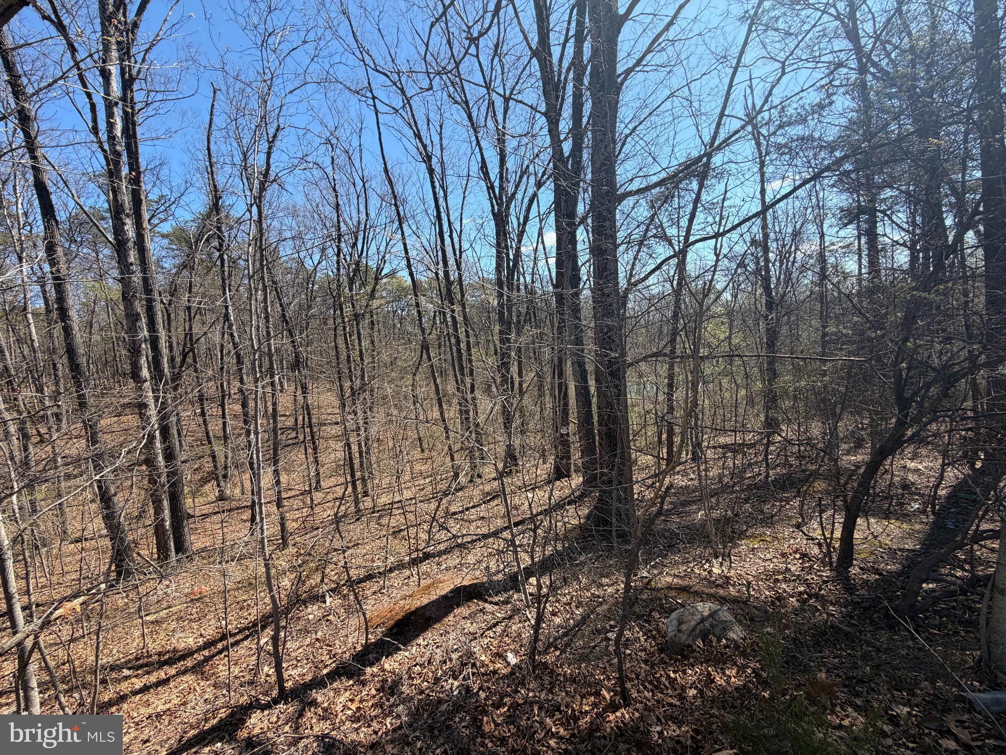 PIN OAK - Residential