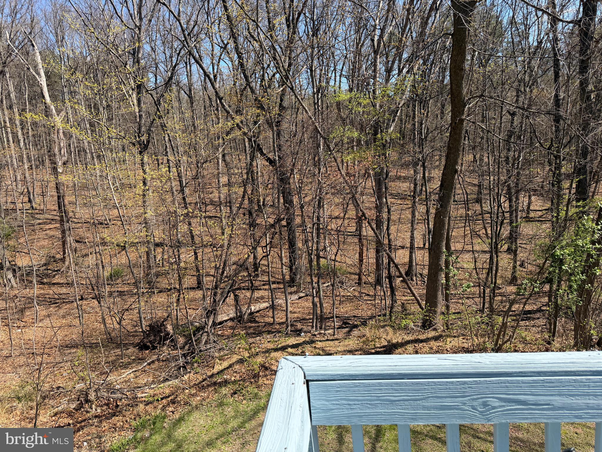 PIN OAK - Residential