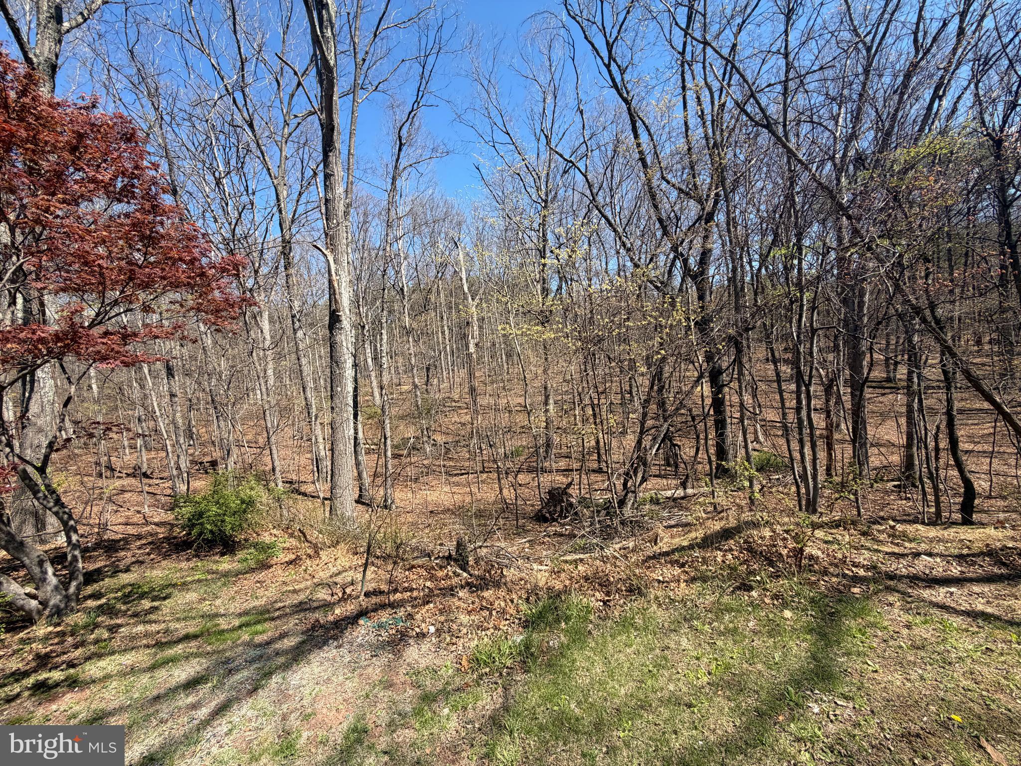 PIN OAK - Residential