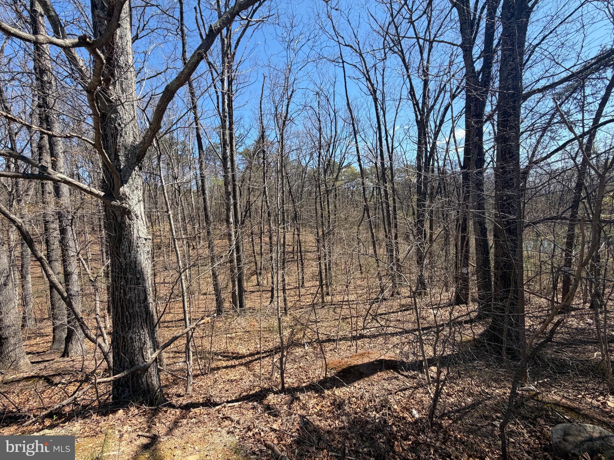 PIN OAK - Residential