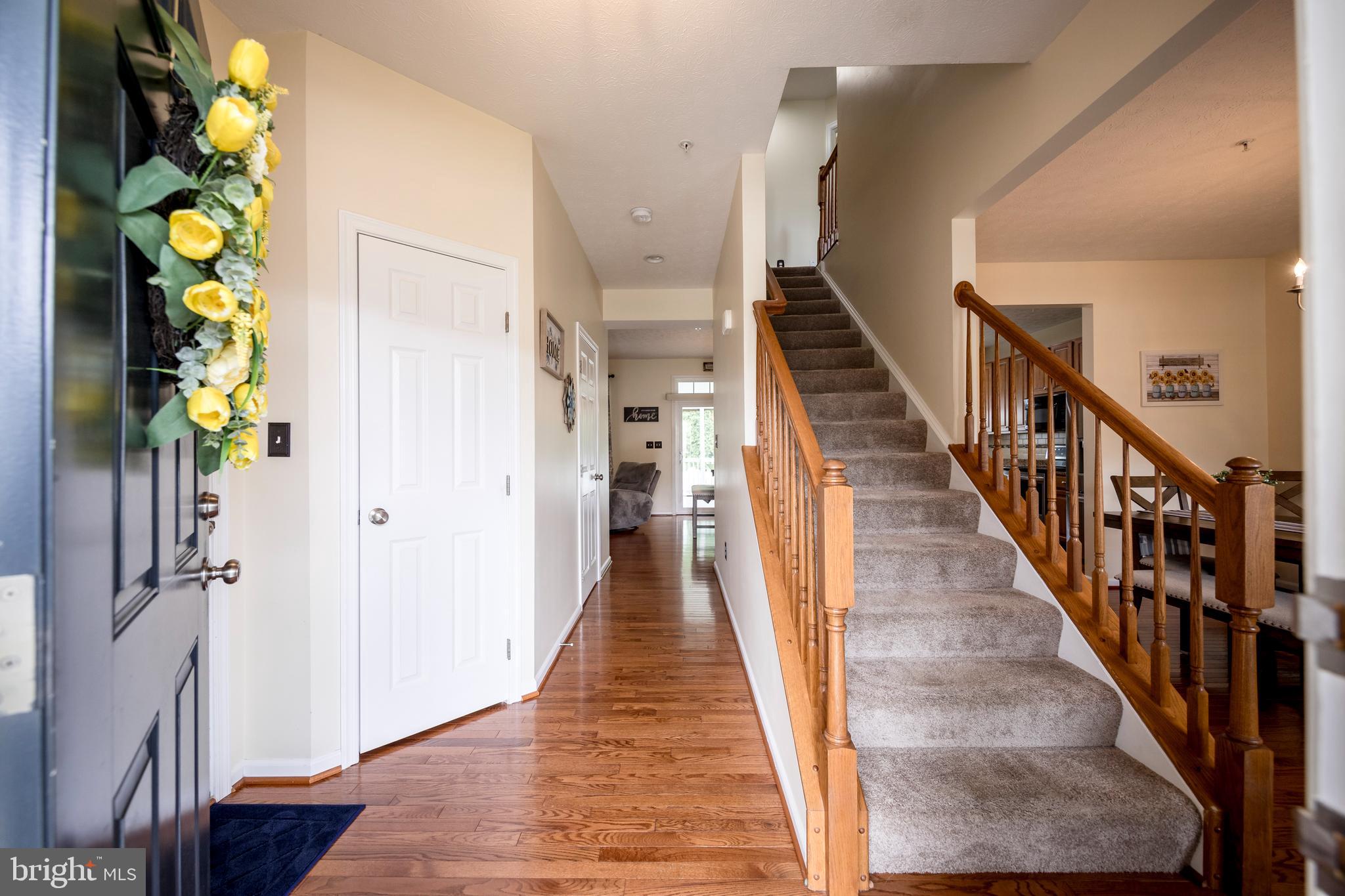 804 DRESSAGE COURT