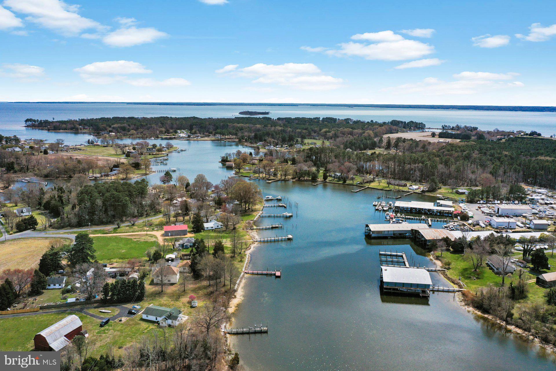 AVENUE - Residential