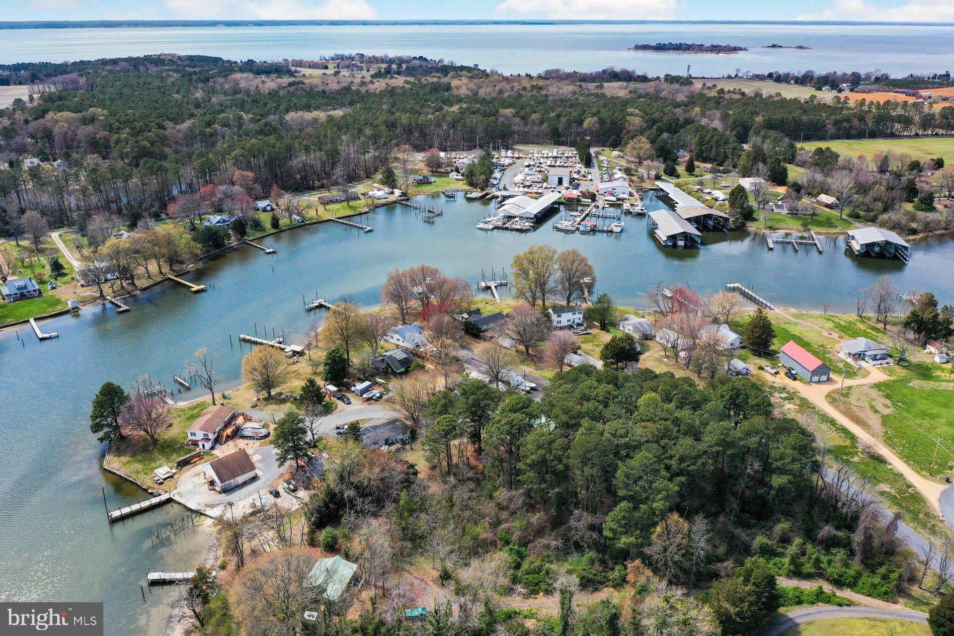 AVENUE - Residential