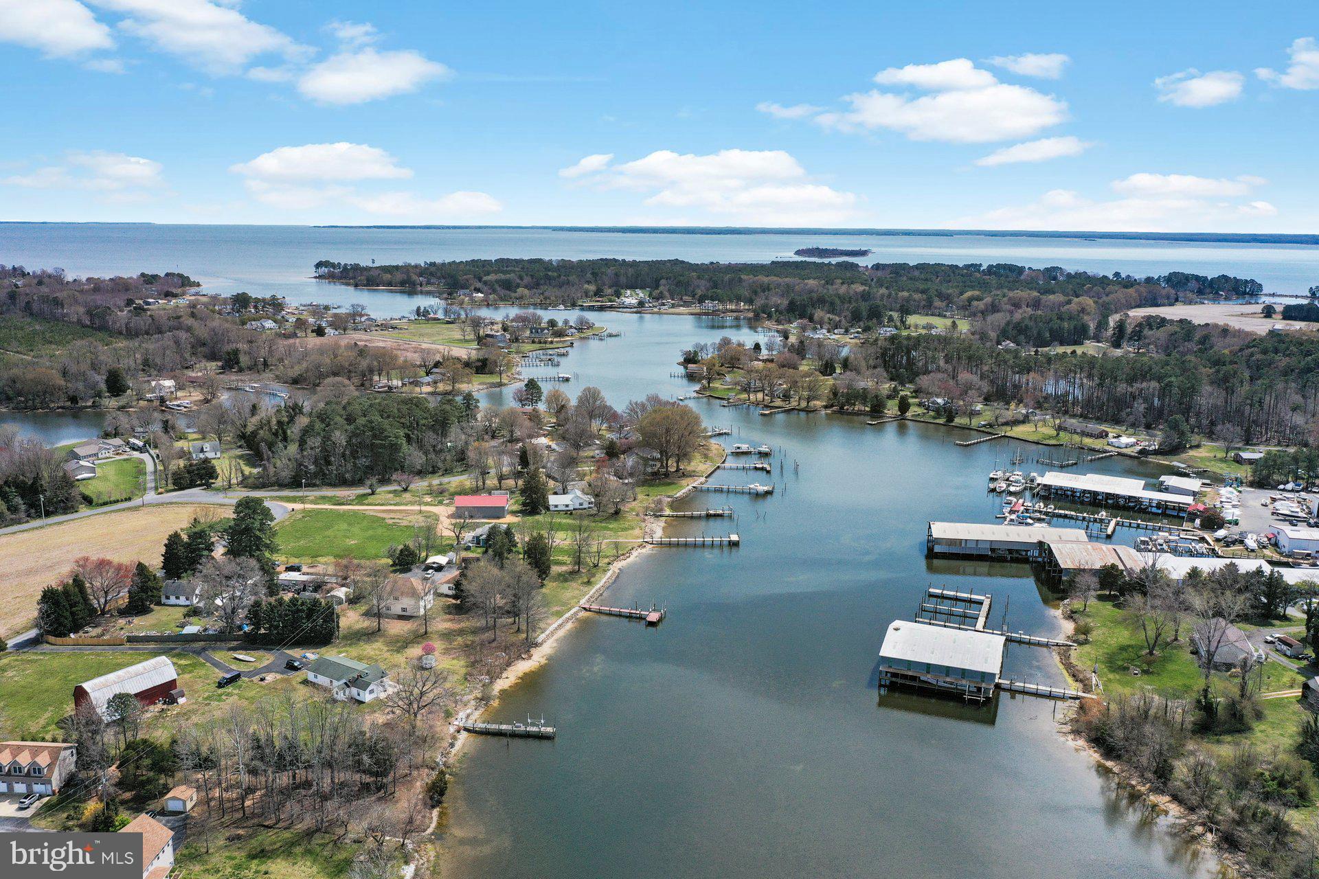 AVENUE - Residential