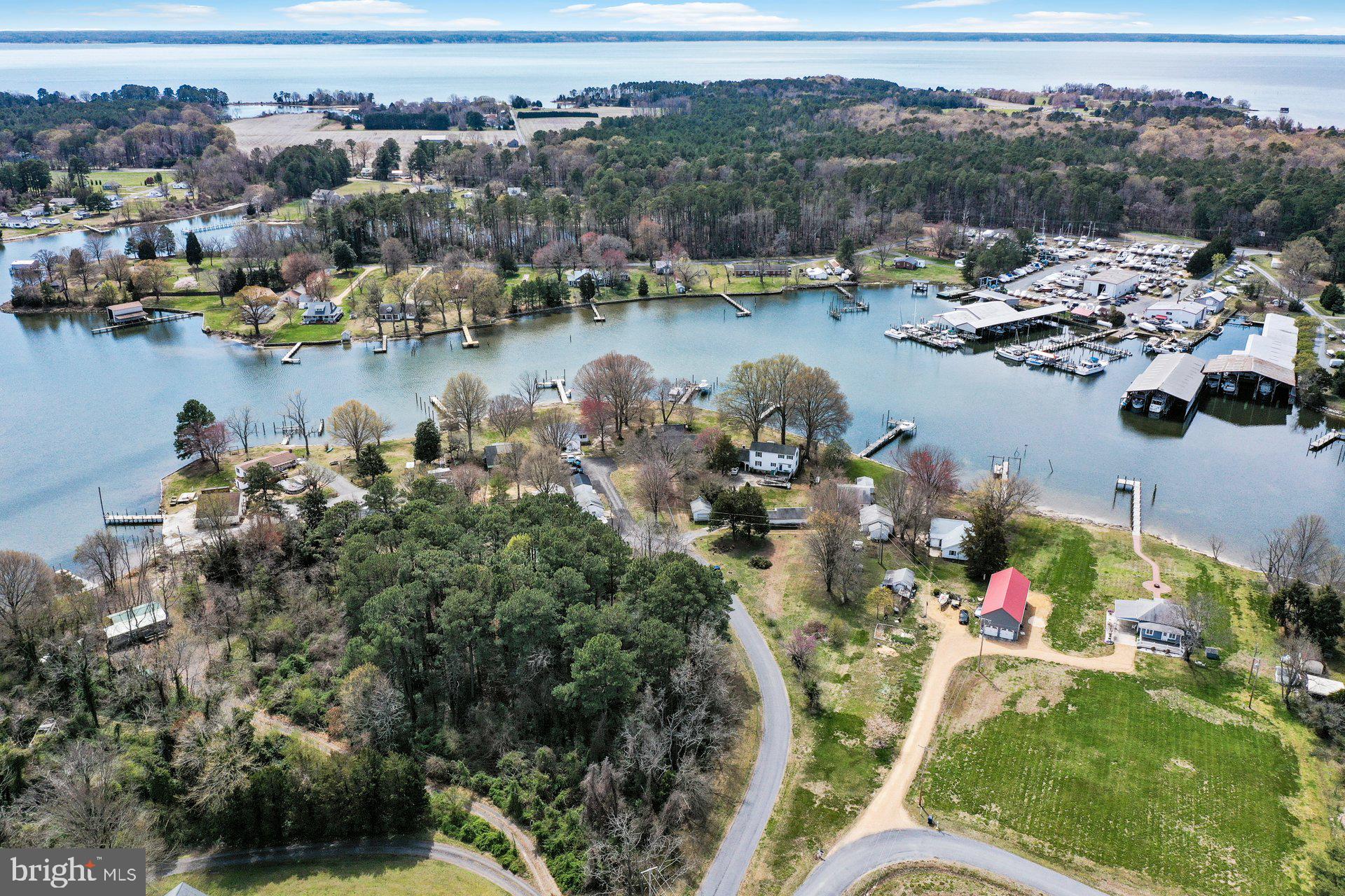 AVENUE - Residential