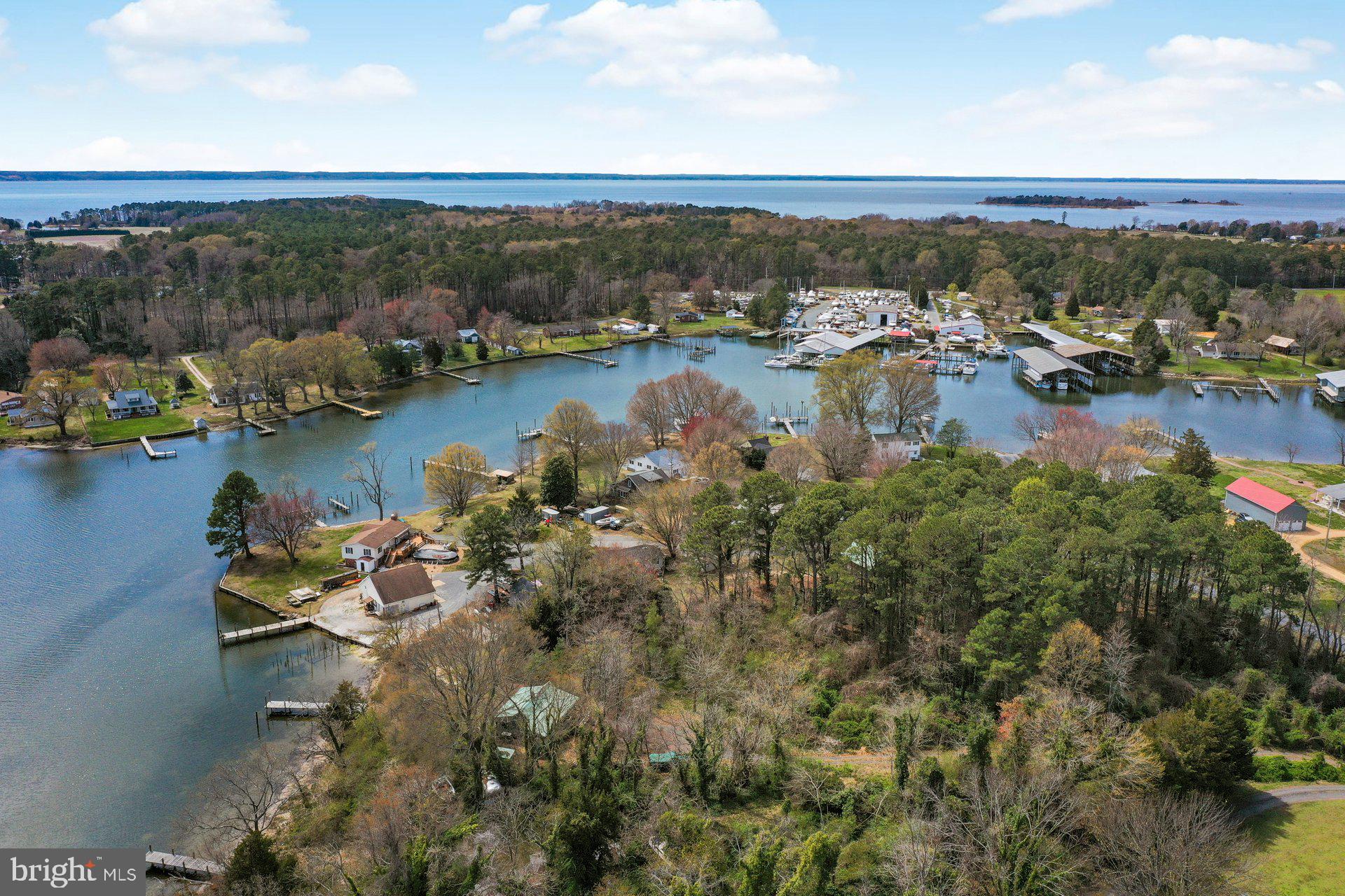 AVENUE - Residential