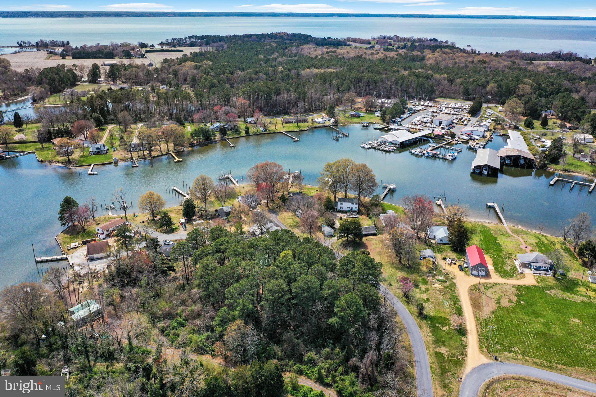 AVENUE - Residential