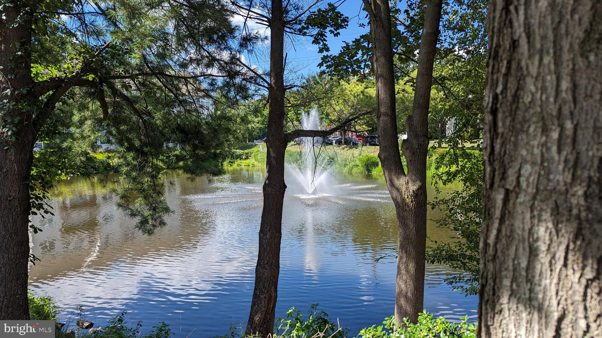 CEDAR LAKES - Residential