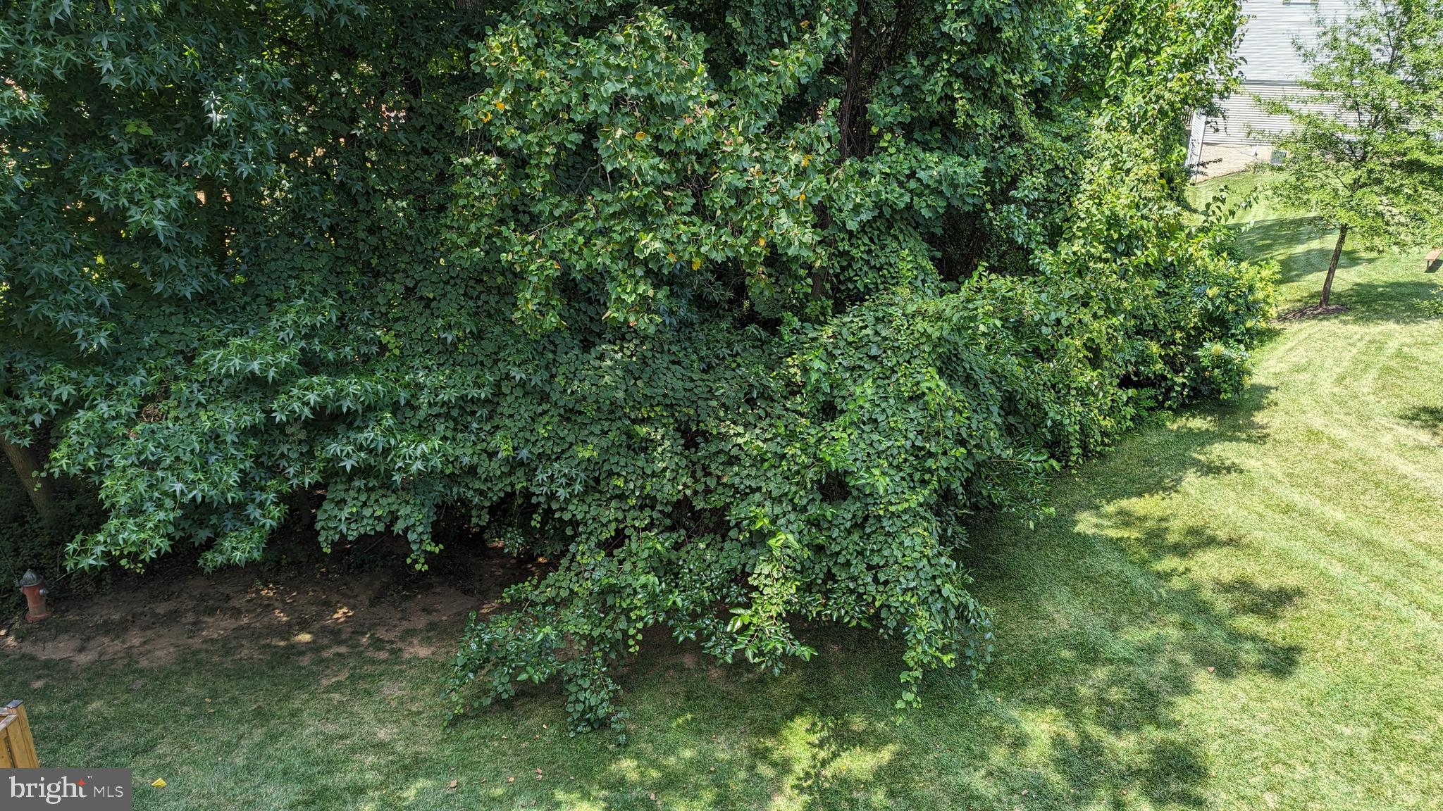 CEDAR LAKES - Residential