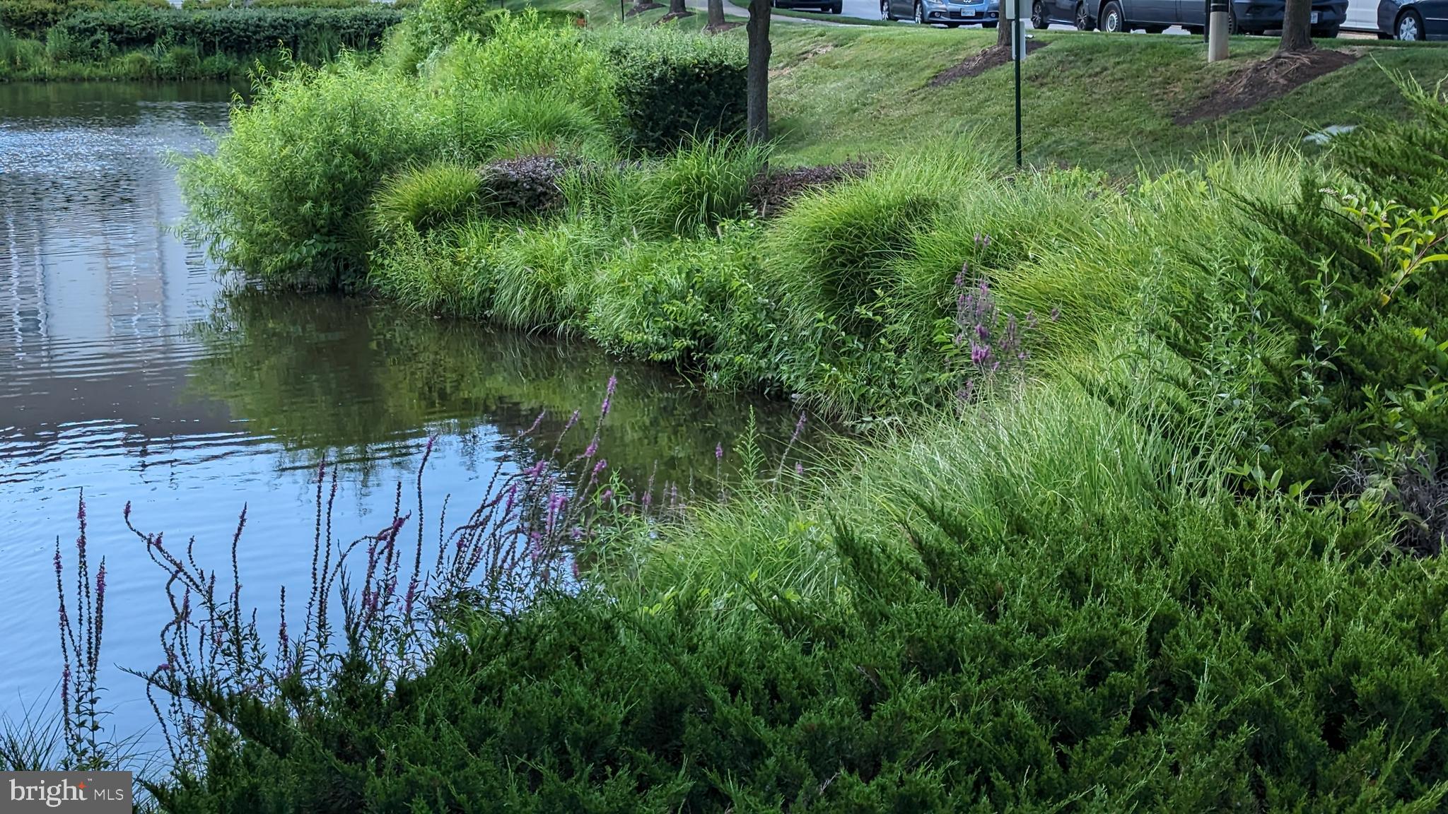 CEDAR LAKES - Residential